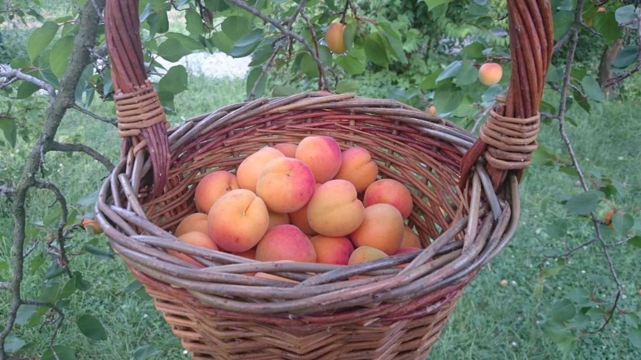 Homestay Gaestehaus Huber Weissenkirchen in der Wachau